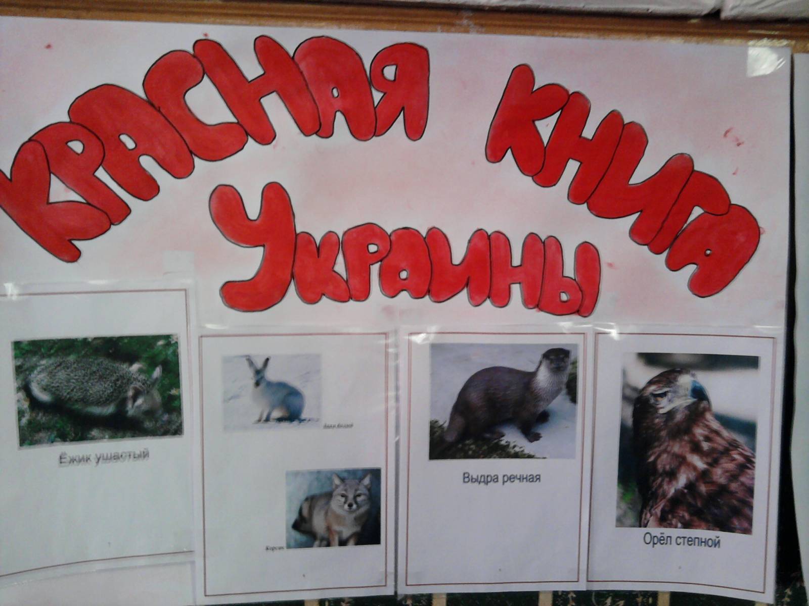 Красная книга Украины.